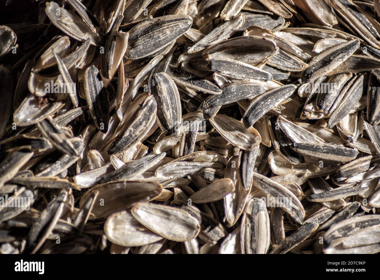 Closeup shot of sunflower seed shells Stock Photo Alamy