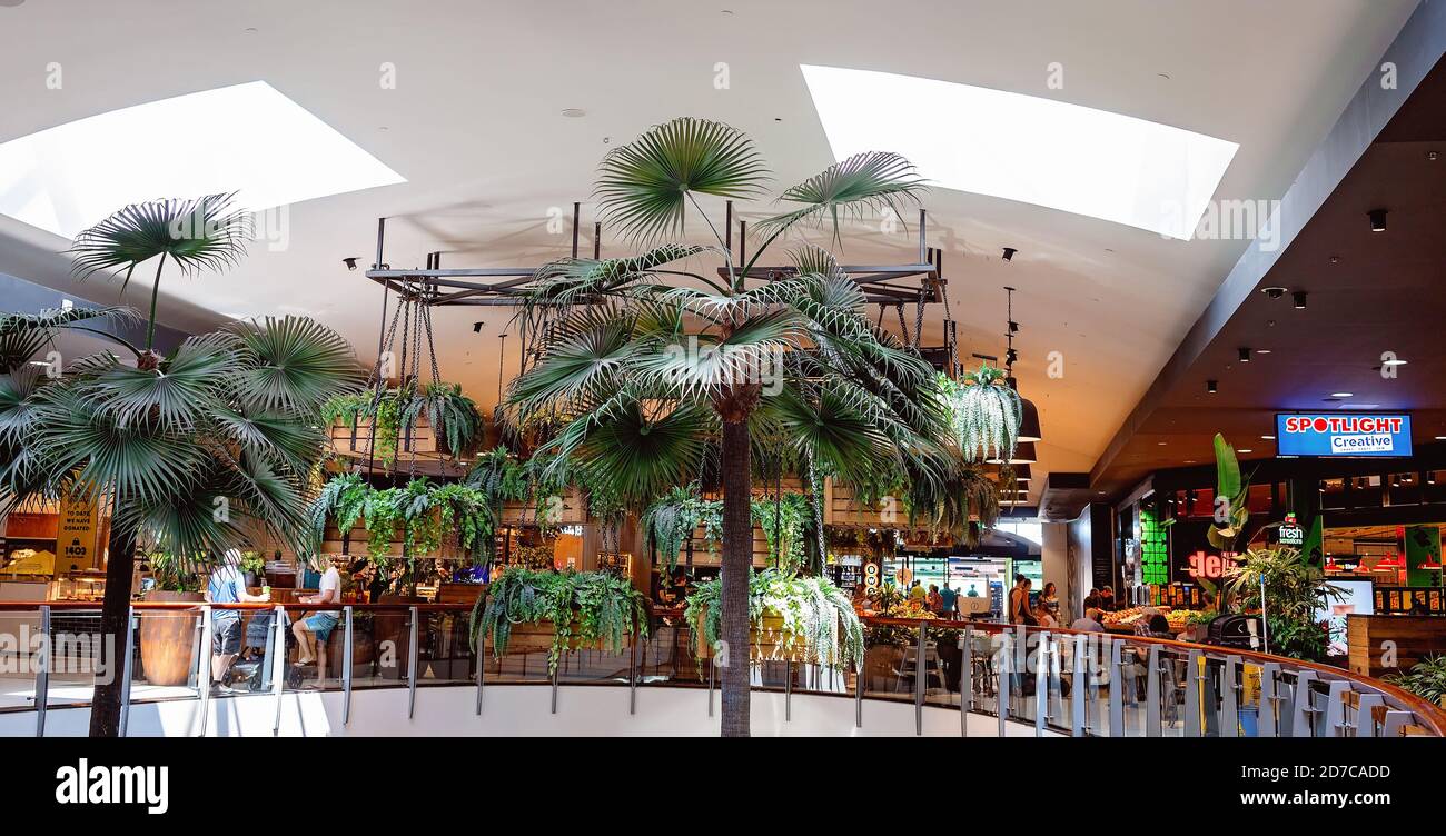 Brisbane, Queensland, Australia 28th September 2019 Tropical palms