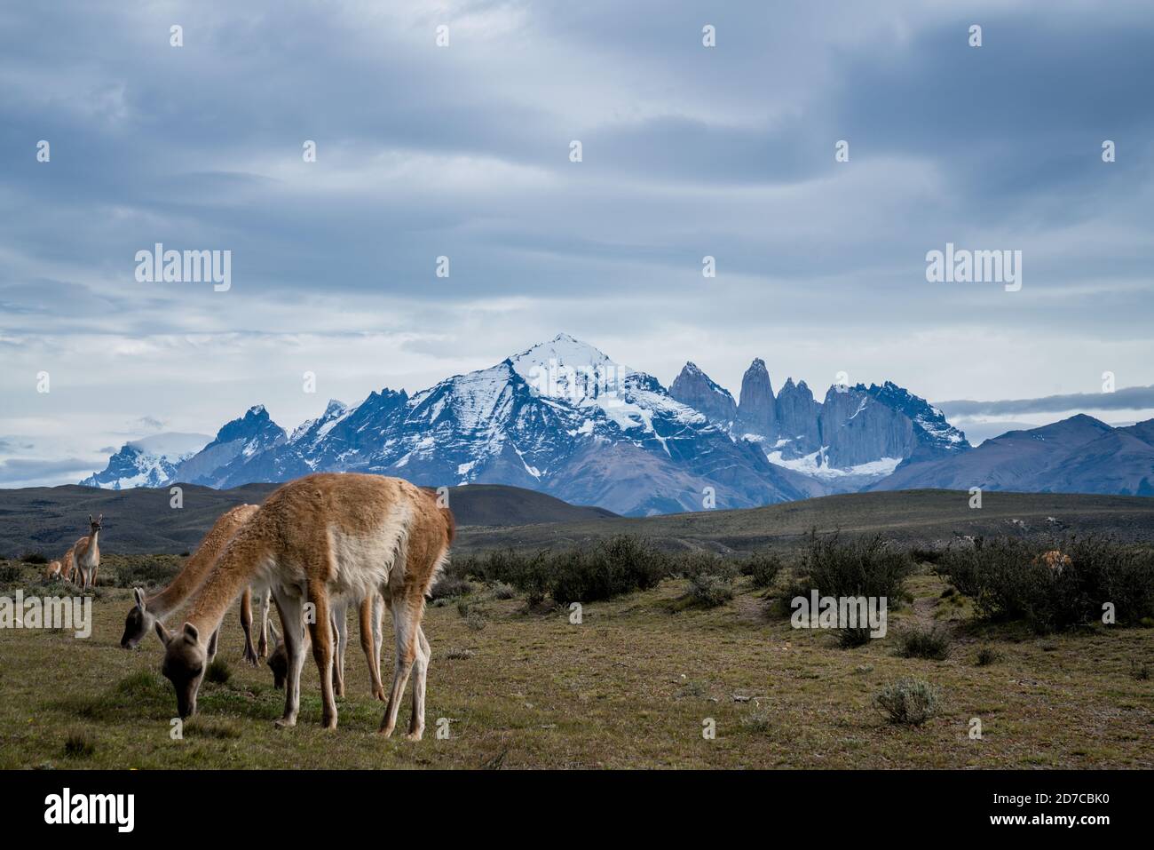 Patagonian landscapes Stock Photo