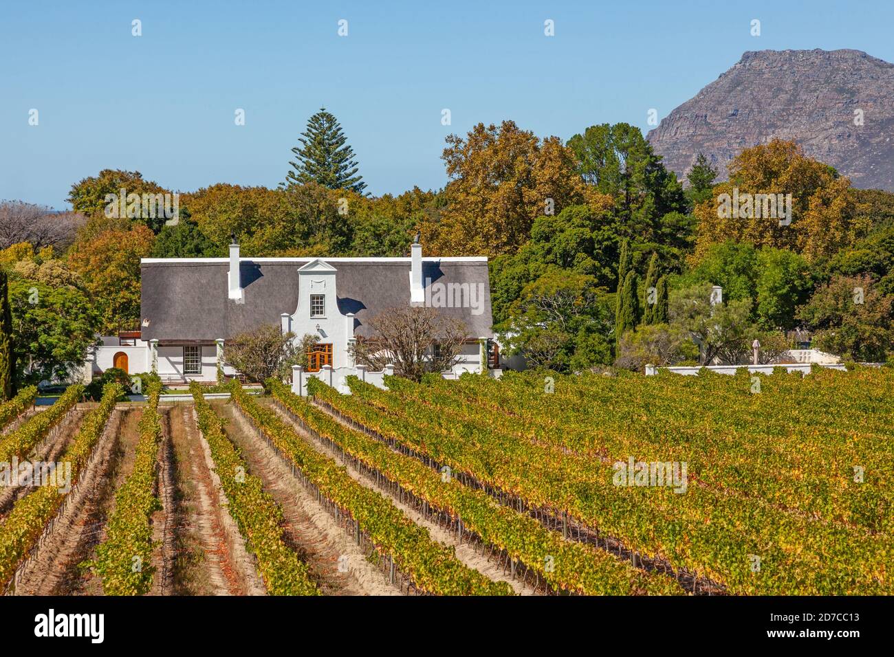 A beautiful Cape Dutch homestead in the grounds of Groot Constantia in