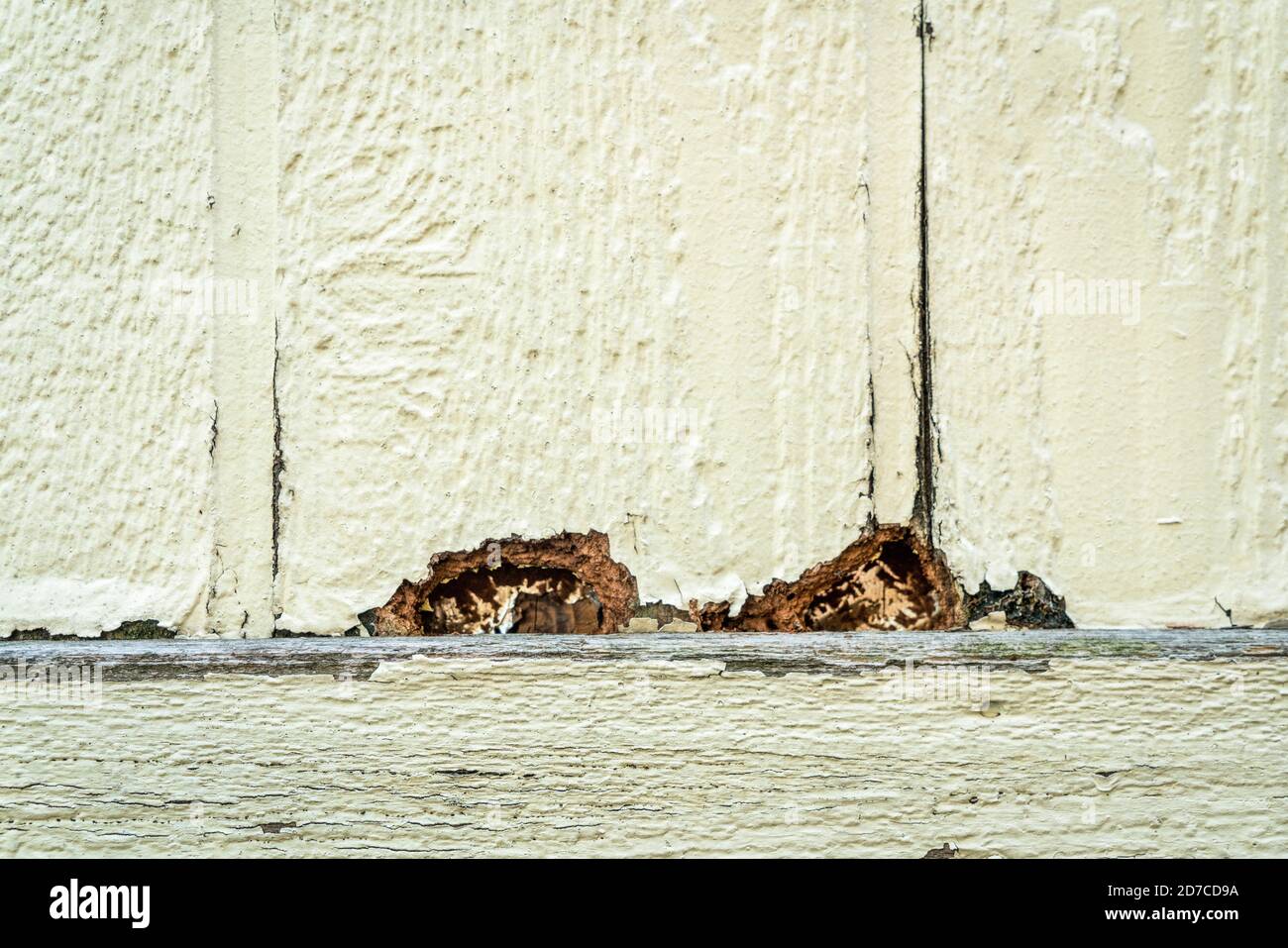 damage to house siding holes mad by woodpeckers Stock Photo Alamy