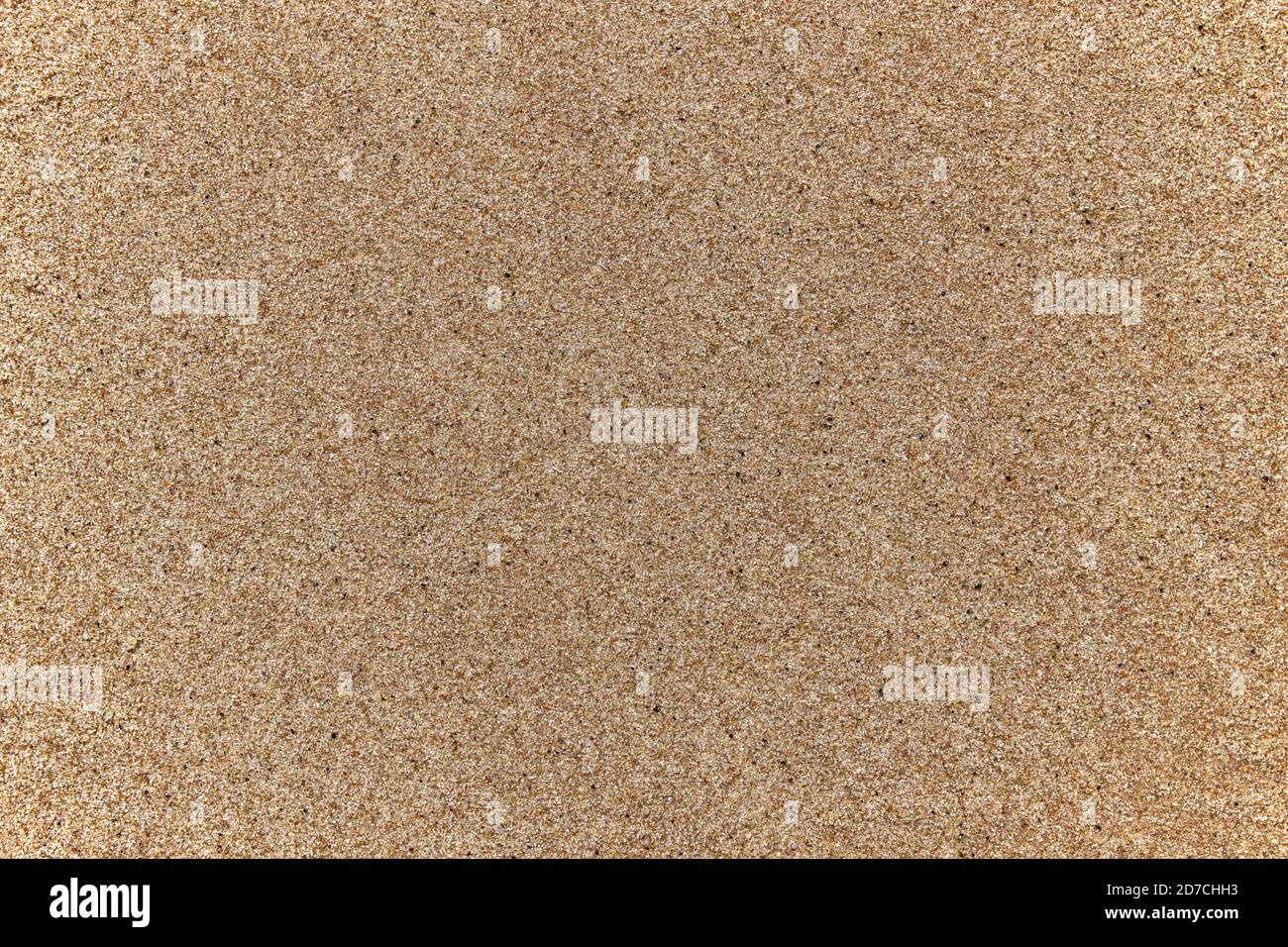Top view of the sandy beach, the background has a copy area and a sandy texture where detail of small pebbles is visible. Stock Photo