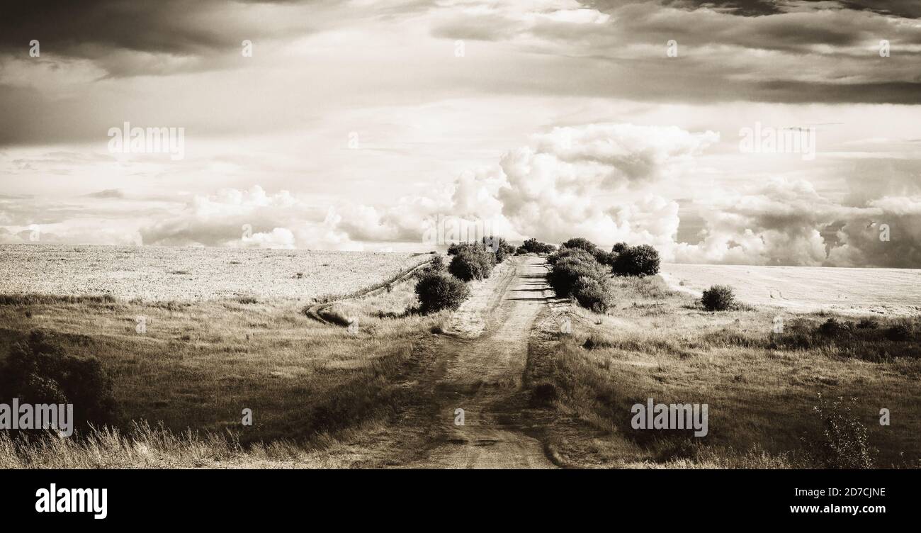 Monochrome landscape with rural road made with sepia filter in retro style photography. Stock Photo