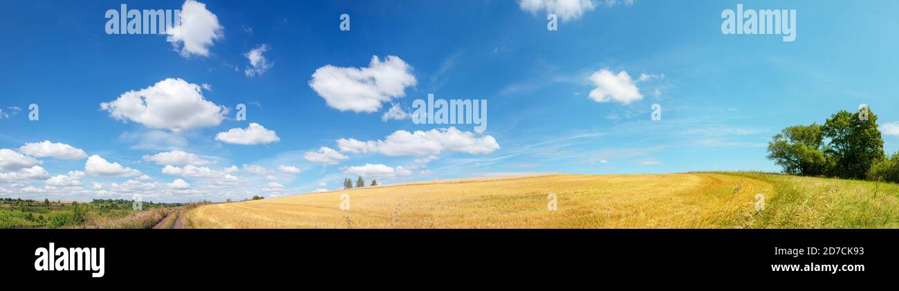 Summer country landscape with rural road and golden fields Stock Photo ...