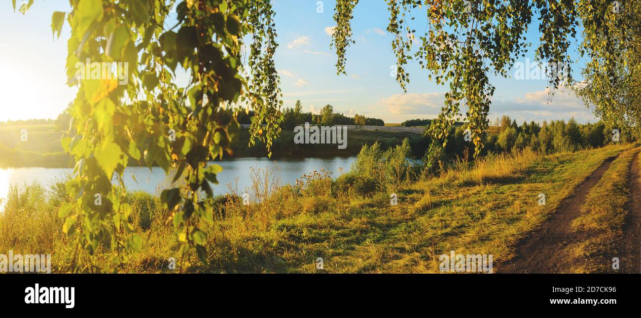 Summer rural landscape with ground road and hanging birch branches ...