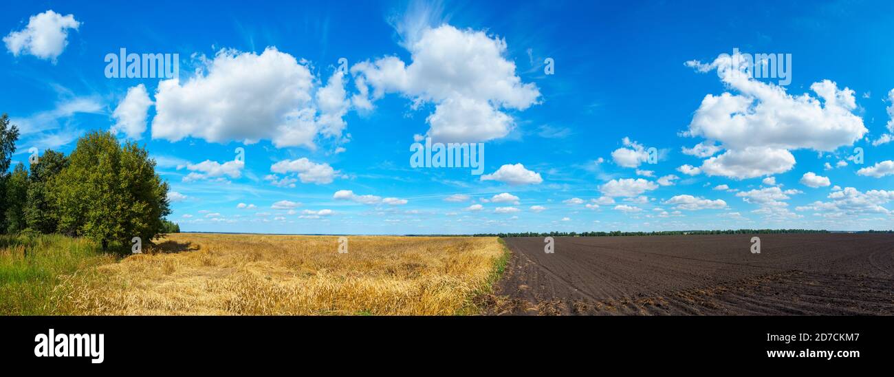 Summer rural panoramic landscape with blue sky with beautiful clouds ...