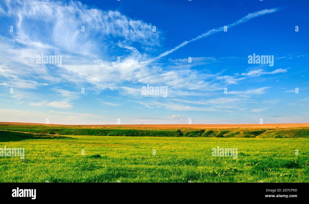 Green grass sunny sky hi-res stock photography and images - Alamy