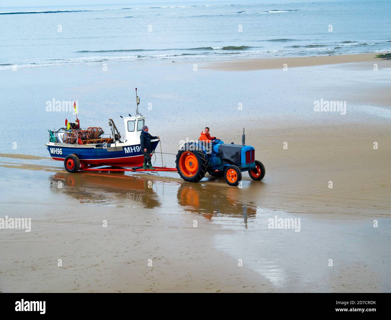 Crab or Lobster, Fisherman driving a tractor hauling their boat out of