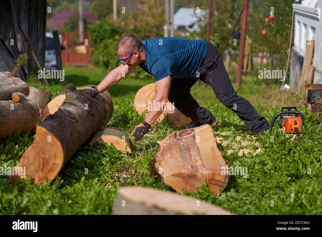 Strong lumberjack pushing and pulling logs to prop them for sawing ...