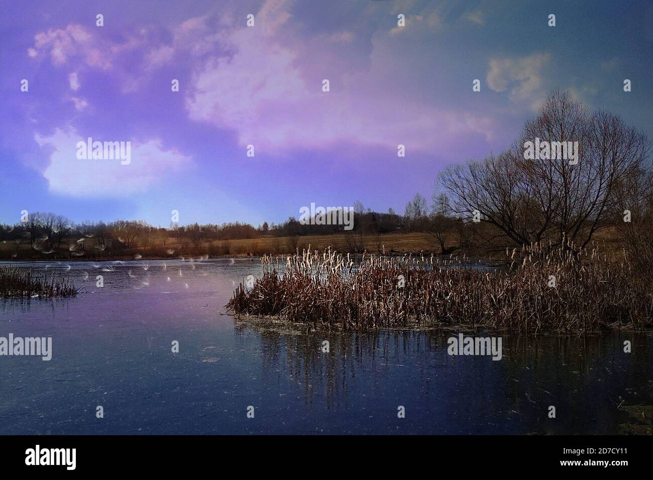 Forest lake Stock Photo - Alamy