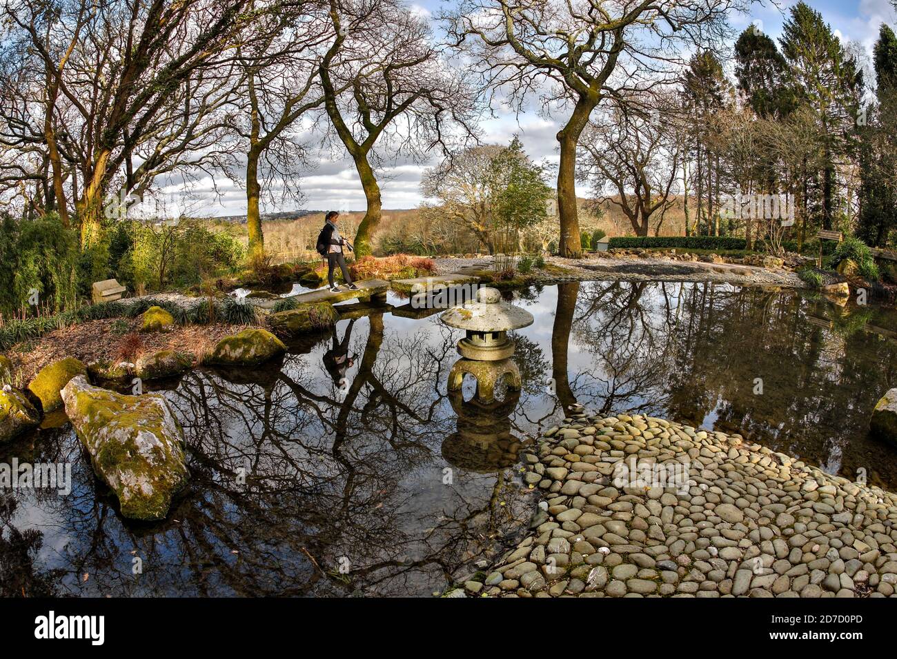 Gardens; Cornwall; UK Stock Photo Alamy