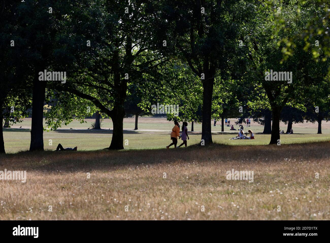 Sunbathing in Brockwell Park, Herne Hill, London, UK Stock Photo
