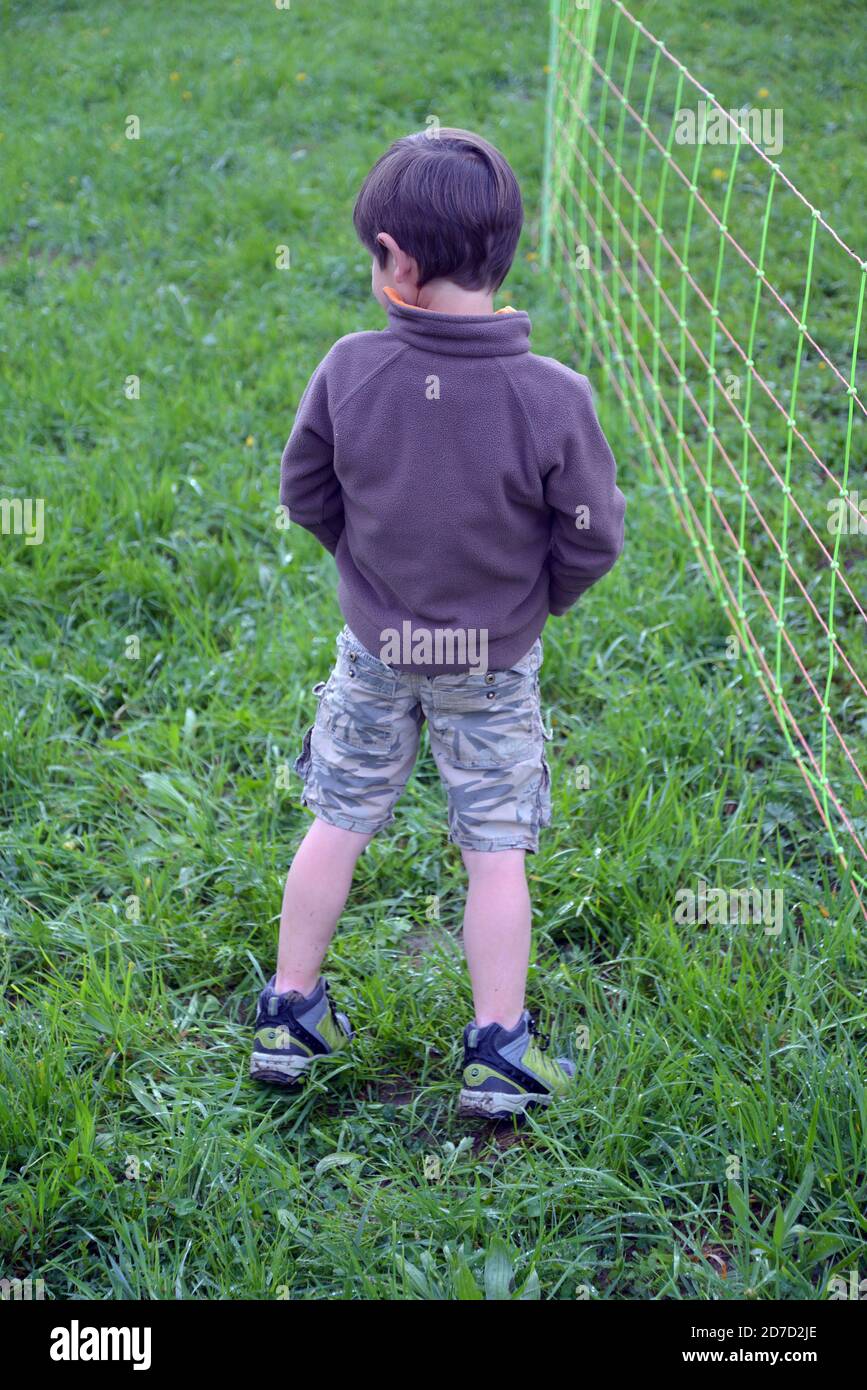 Little boy peeing against the fence Stock Photo - Alamy