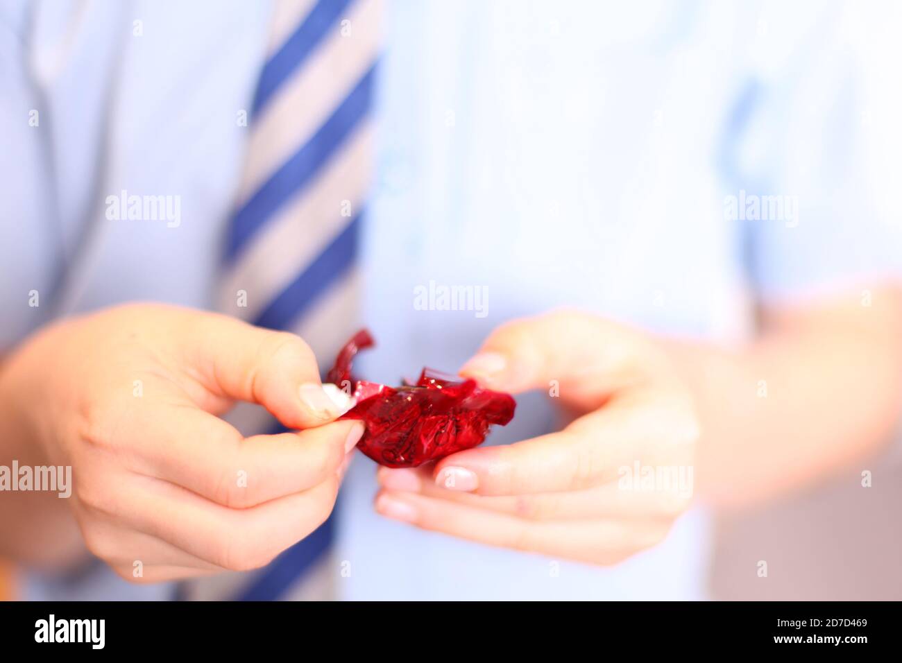 Child unwrapping Quality Street Strawberry Delight chocolate sweet wrapped in wrapper, close up Stock Photo