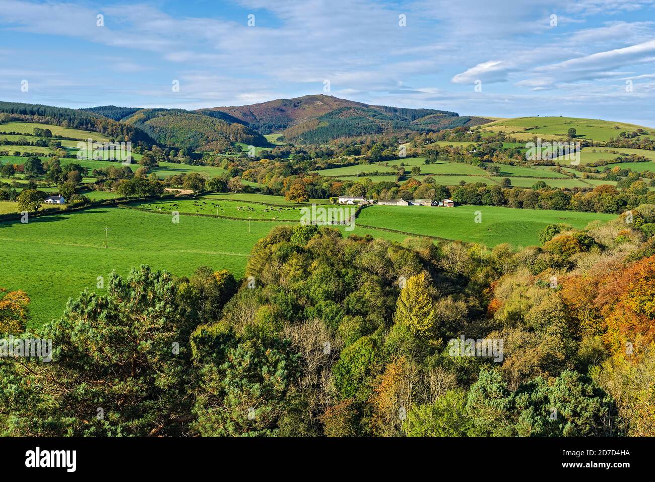 Moel Famau in the Clwydian Mountain Range viewed from Loggerheads Country Park in autumn near Mold North Wales UK October 2019 2571 Stock Photo
