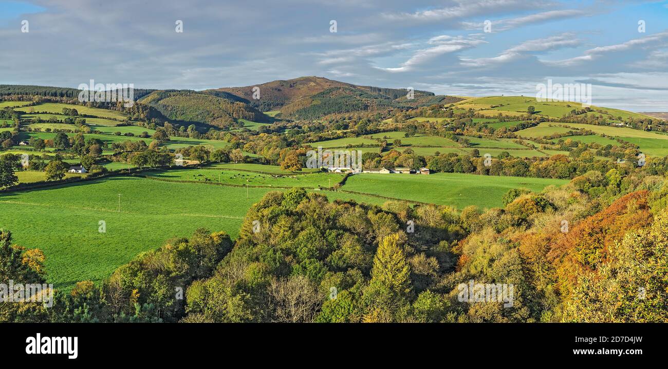 Moel Famau in the Clwydian Mountain Range viewed from Loggerheads Country Park in autumn near Mold North Wales UK October 2019 253829 Stock Photo