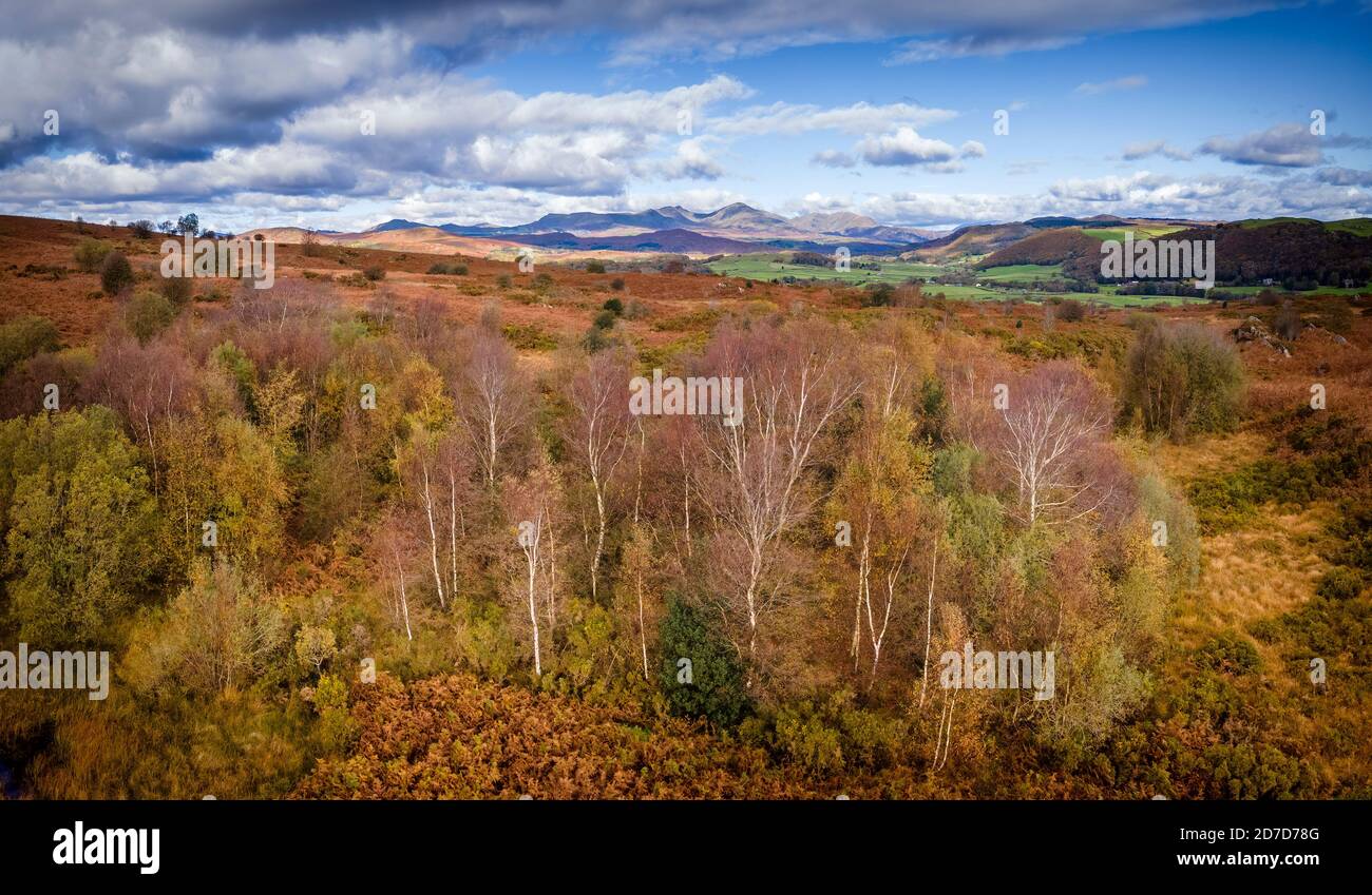 Browns hill common hires stock photography and images Alamy