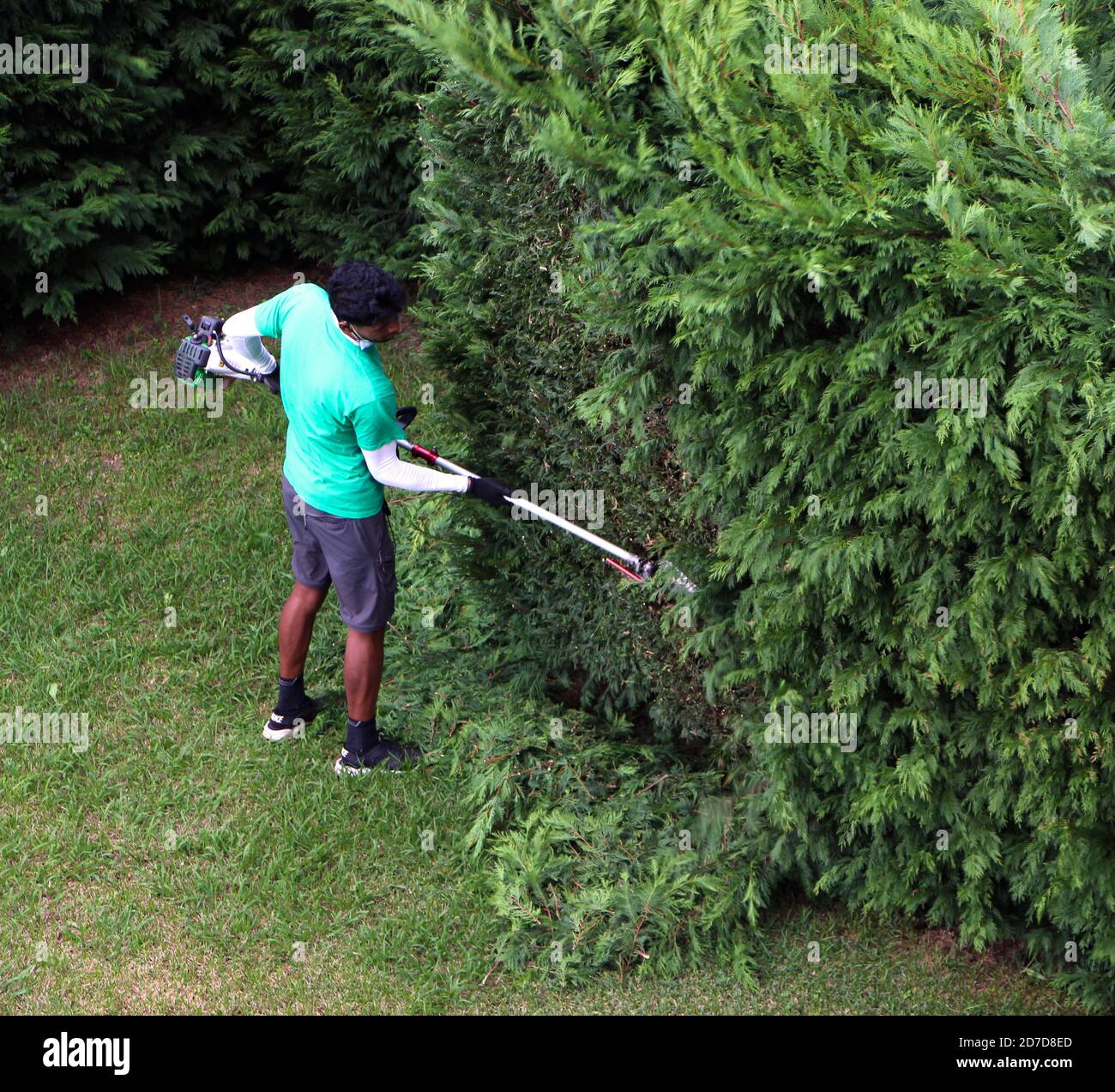 Petrol hedge trimmer hires stock photography and images Alamy
