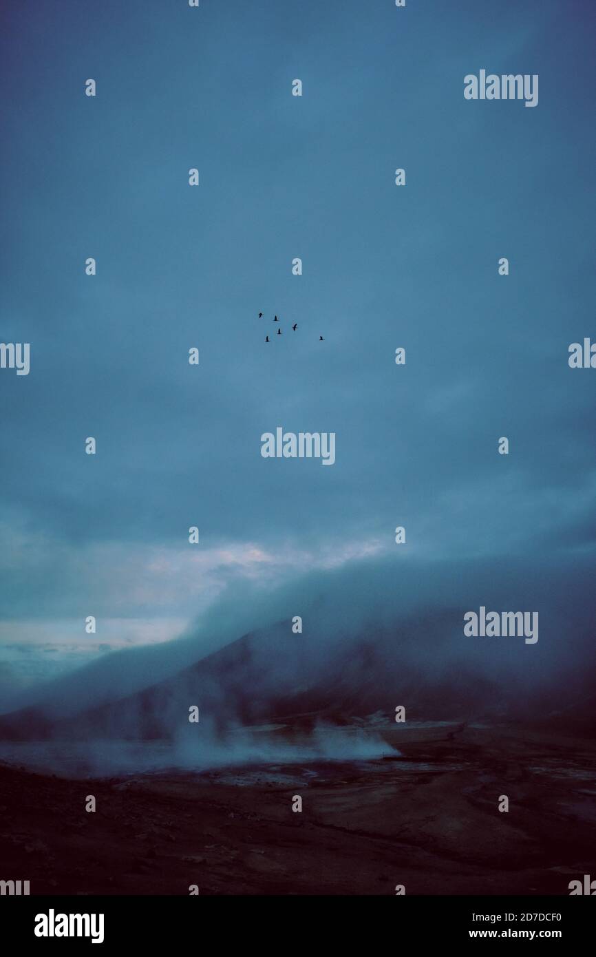 A Skein or V-shaped flight formation of birds such as geese in a moody cloudy dusk northern sky - migrating flying birds - minimal landscape Stock Photo