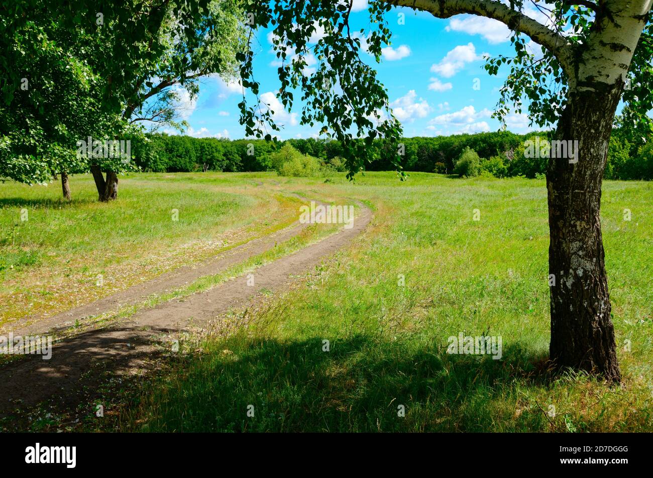 Grass growing along rural road hi-res stock photography and images - Alamy