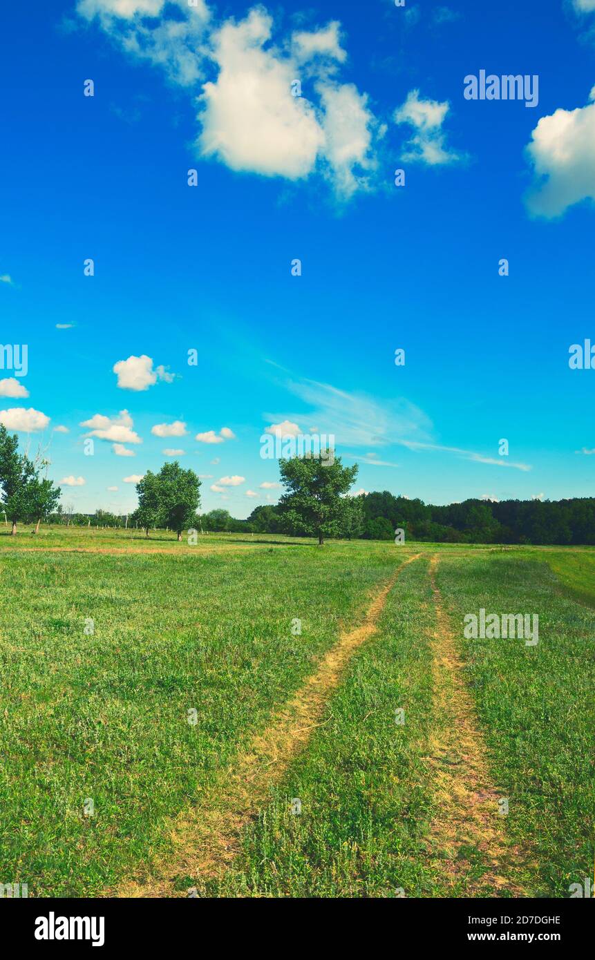 Grass growing along rural road hi-res stock photography and images - Alamy