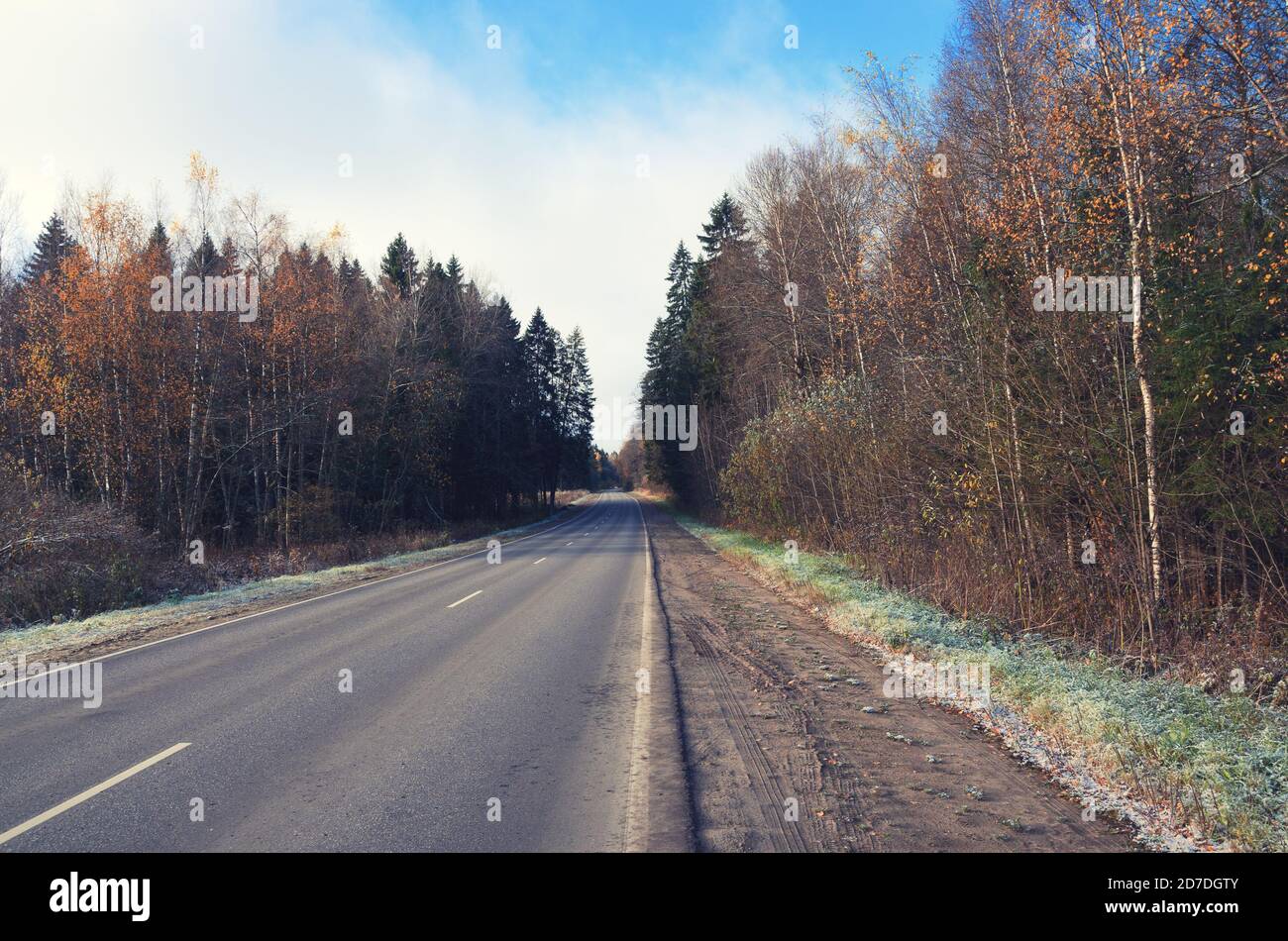 Empty asphalt road through forest hi-res stock photography and images ...