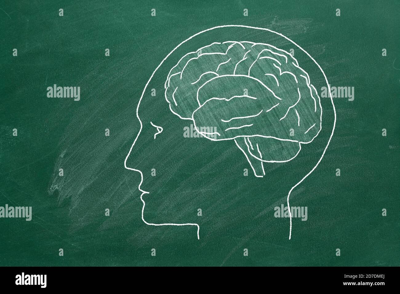 Brain drawing with chalk on greenboard Stock Photo