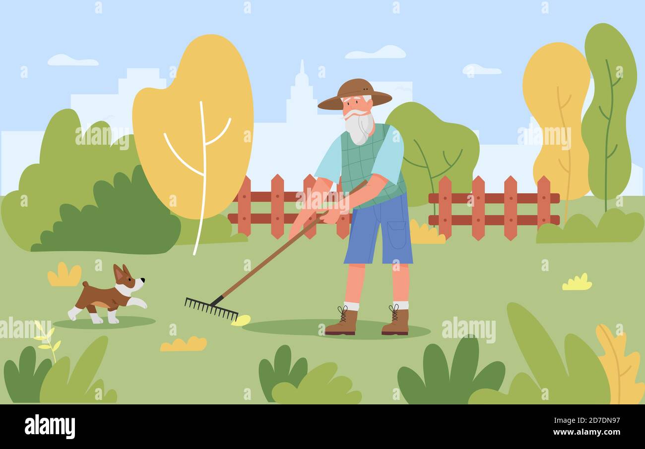 Garden autumn work vector illustration. Cartoon old gardener man character working with gardening tool rake to remove autumnal leaves in park or fall garden, raking agricultural seasonal background Stock Vector
