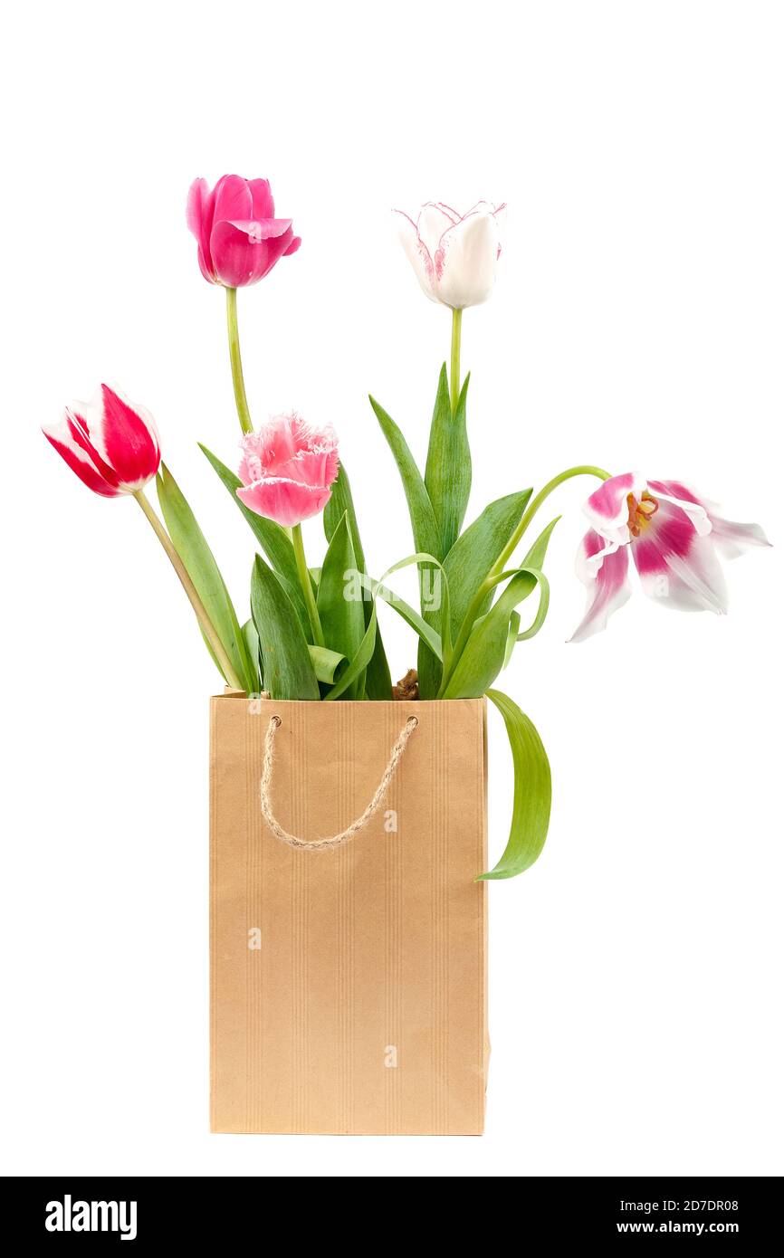 Tulips flowers bouquet isolated on white background Stock Photo - Alamy