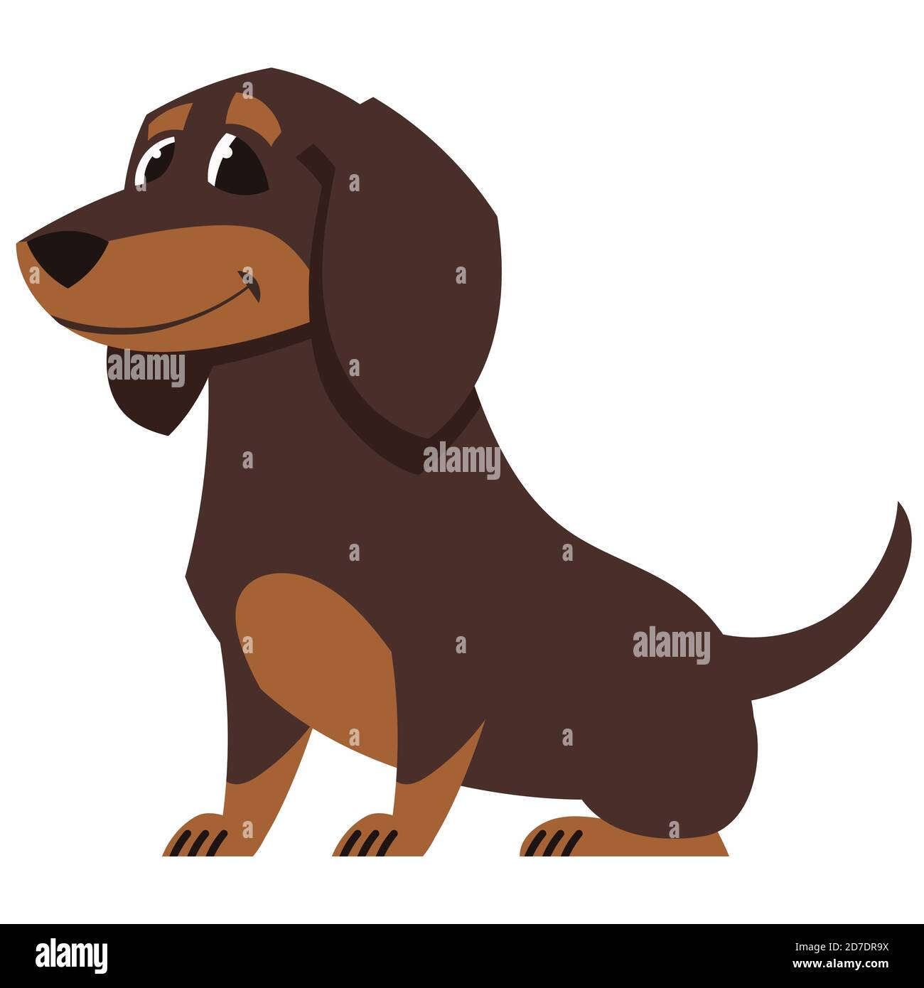 Happy dachshund Stock Vector Images - Alamy