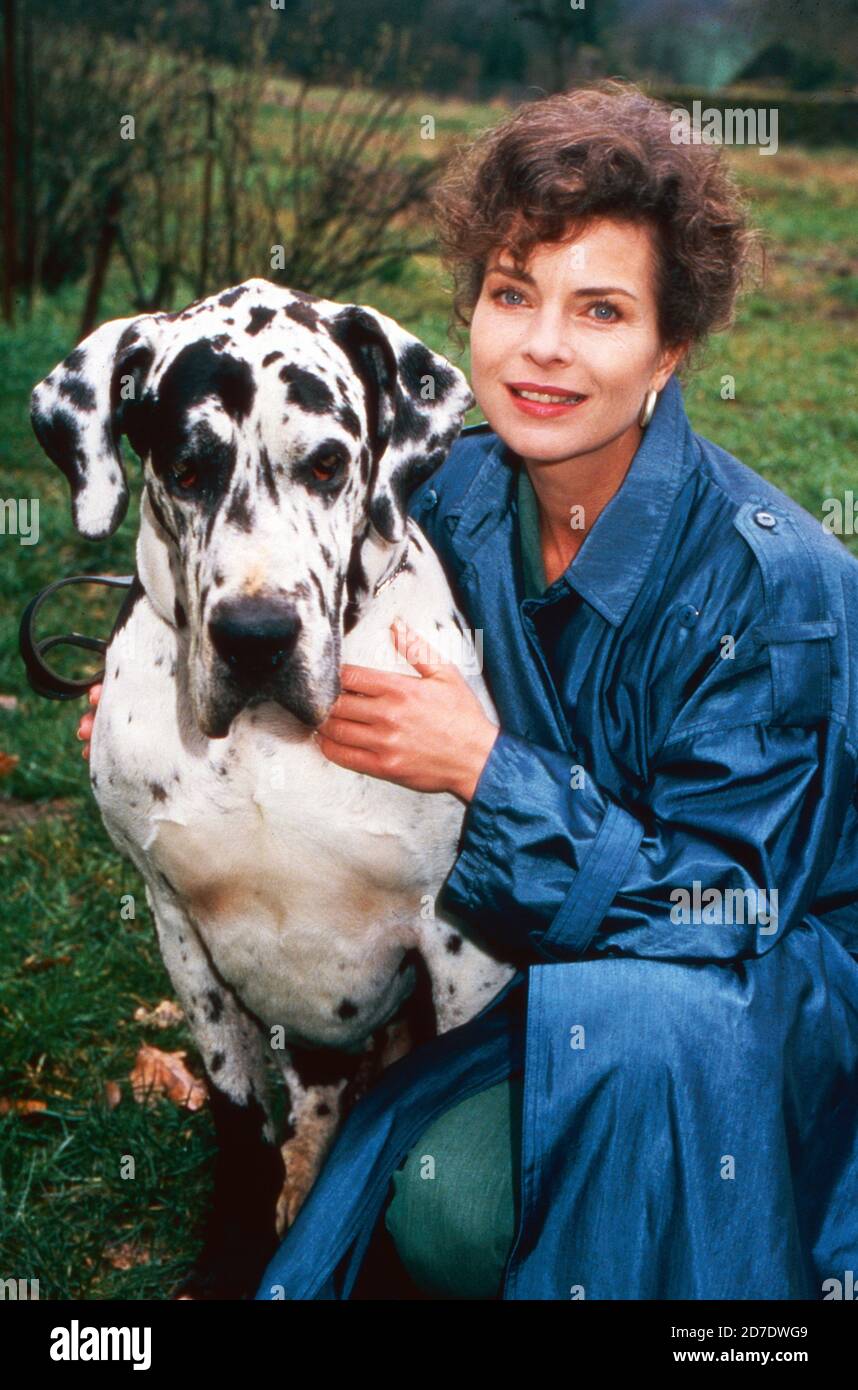 Amigo affare hires stock photography and images Alamy