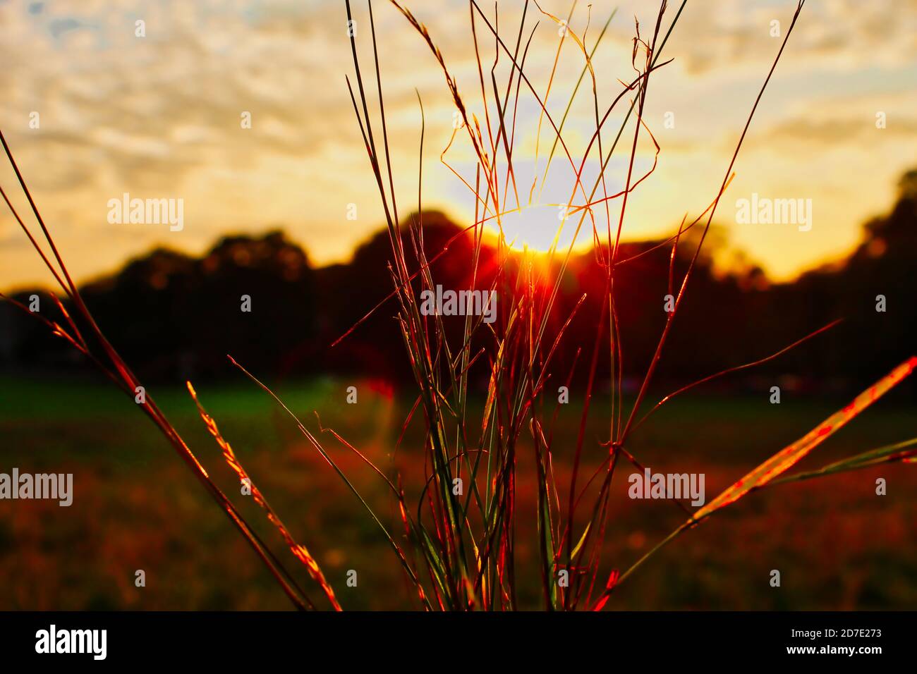 a sunset time is golden hour in UK Stock Photo Alamy