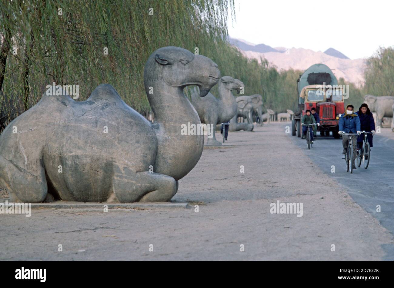 Avenue of the Animals also called the Sacred Road leading to Ming Tombs, Beijing, China, 1980s Stock Photo