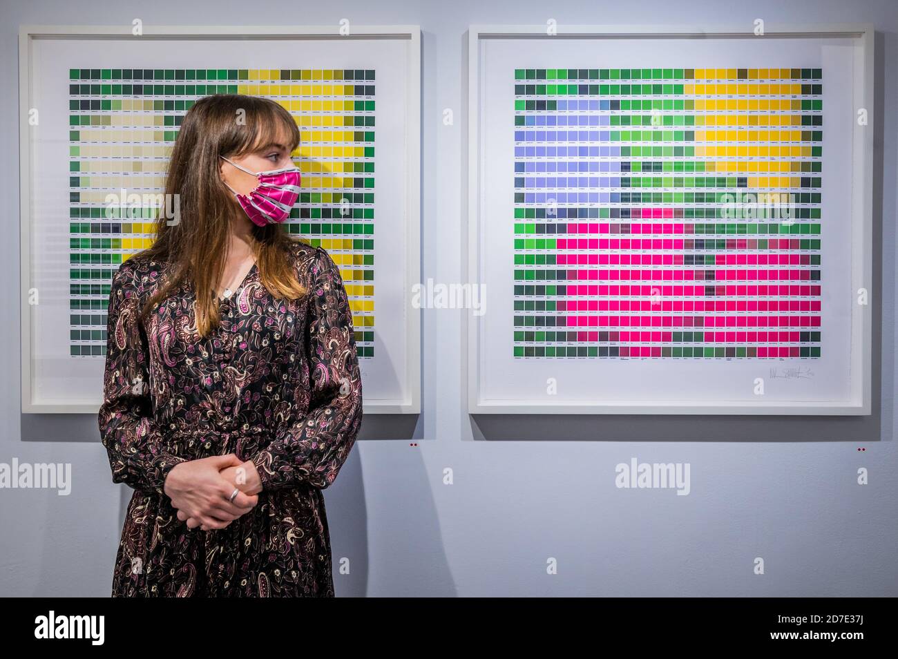 London, UK. 22nd Oct, 2020. Yellow Flowers and Magenta Flowers, 2020 - Nick Smith's new solo exhibition Pioneers at Rhodes Contemporary Art. Works are for sale in teh range of £3,500-12,500. Credit: Guy Bell/Alamy Live News Stock Photo