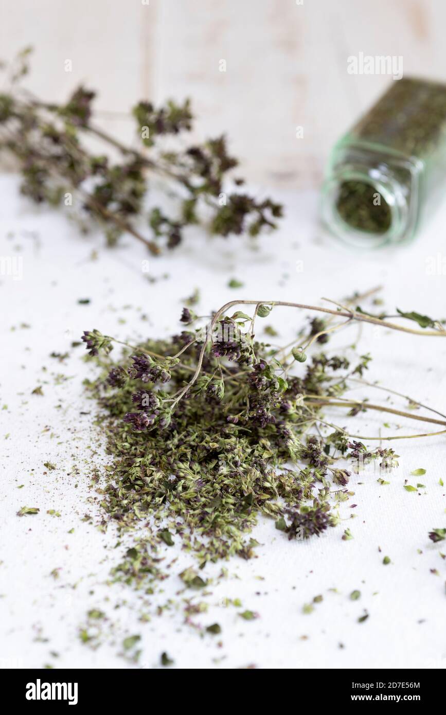 Marjoram herb stalks which have been dried in a dehydrator to preserve