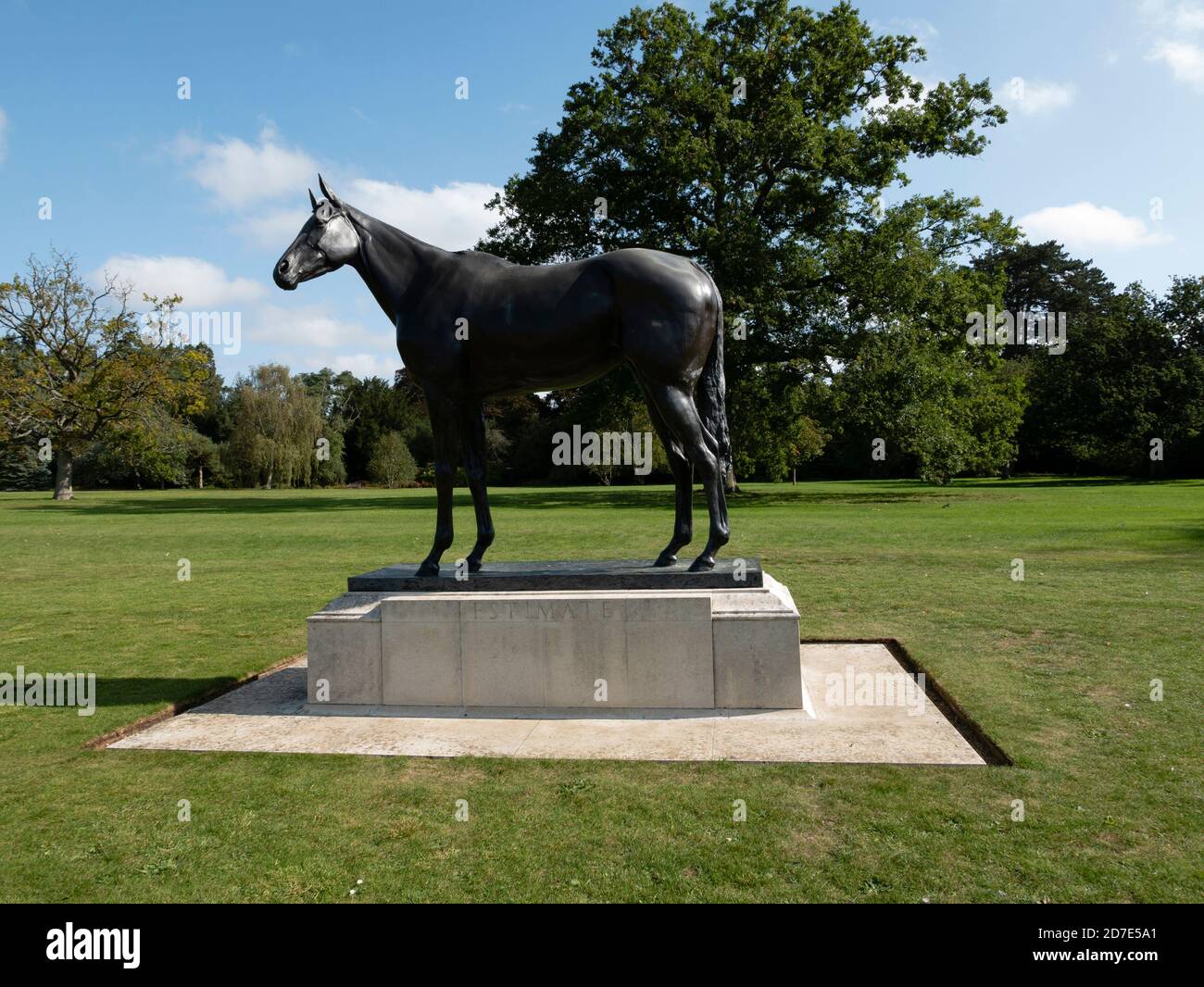 Estimate horse hi-res stock photography and images - Alamy