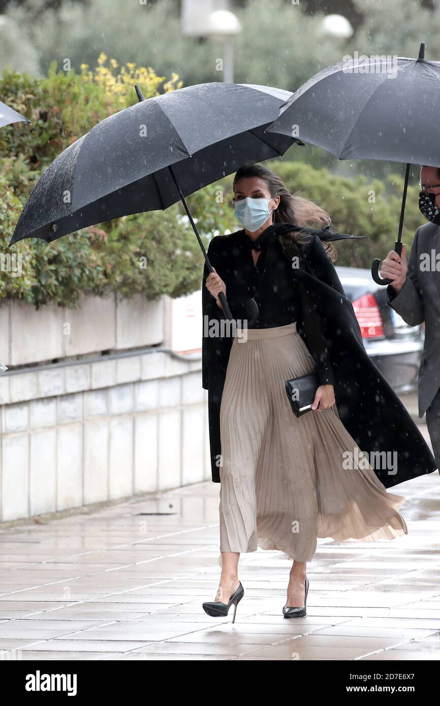mid length pleated skirts queen