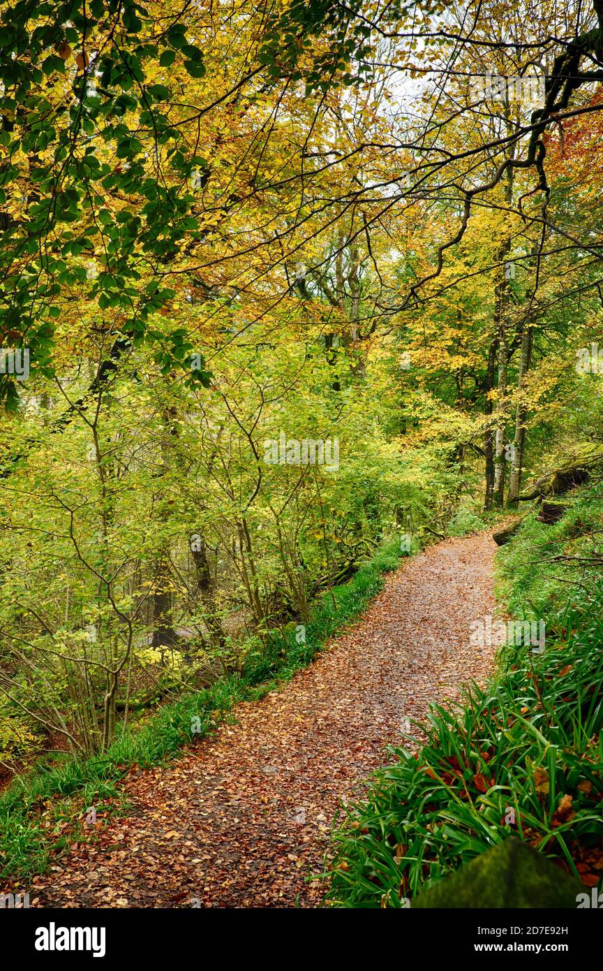 New Lanark, South Lanarkshire, Scotland, UK Stock Photo Alamy
