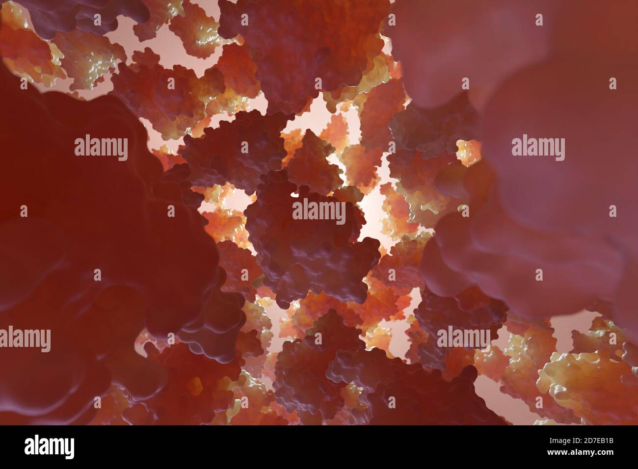 Hemoglobin is the ironcontaining oxygentransport metalloprotein in