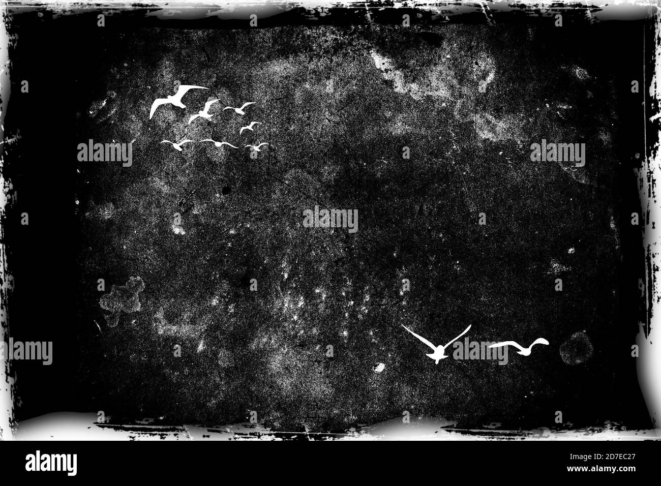 Messy Landscape With Flying Birds On Black Grunge Background Texture Of Old Paper Halloween Party Design Gothic Style Black And White Illustration Stock Photo Alamy Messy Landscape With Flying Birds On Black Grunge Background Texture Of Old Paper Halloween Party Design Gothic Style Black And White Illustration Stock Photo Alamy