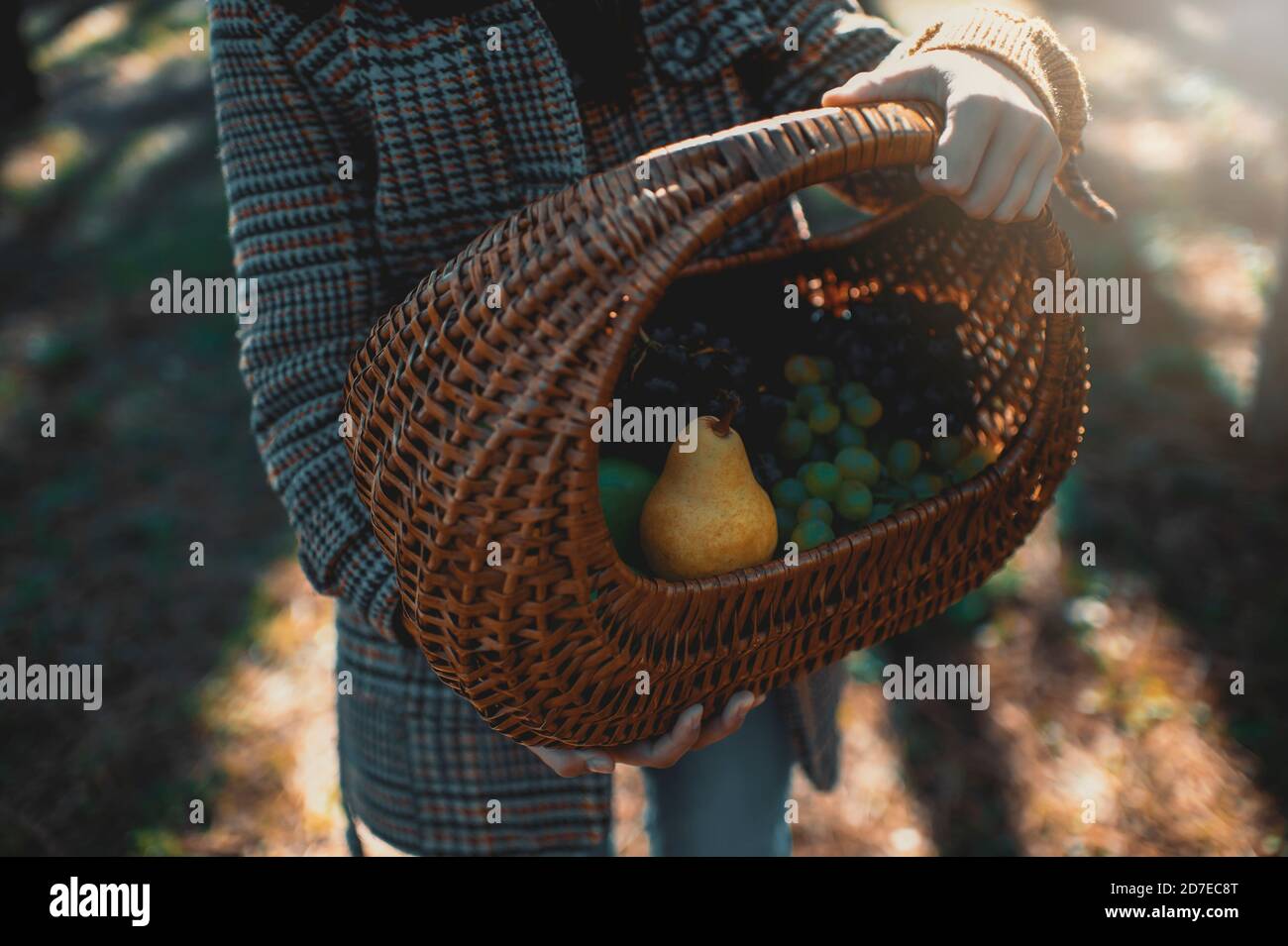 Teenage girl holding basket of fruit on a autumn day Stock Photo - Alamy