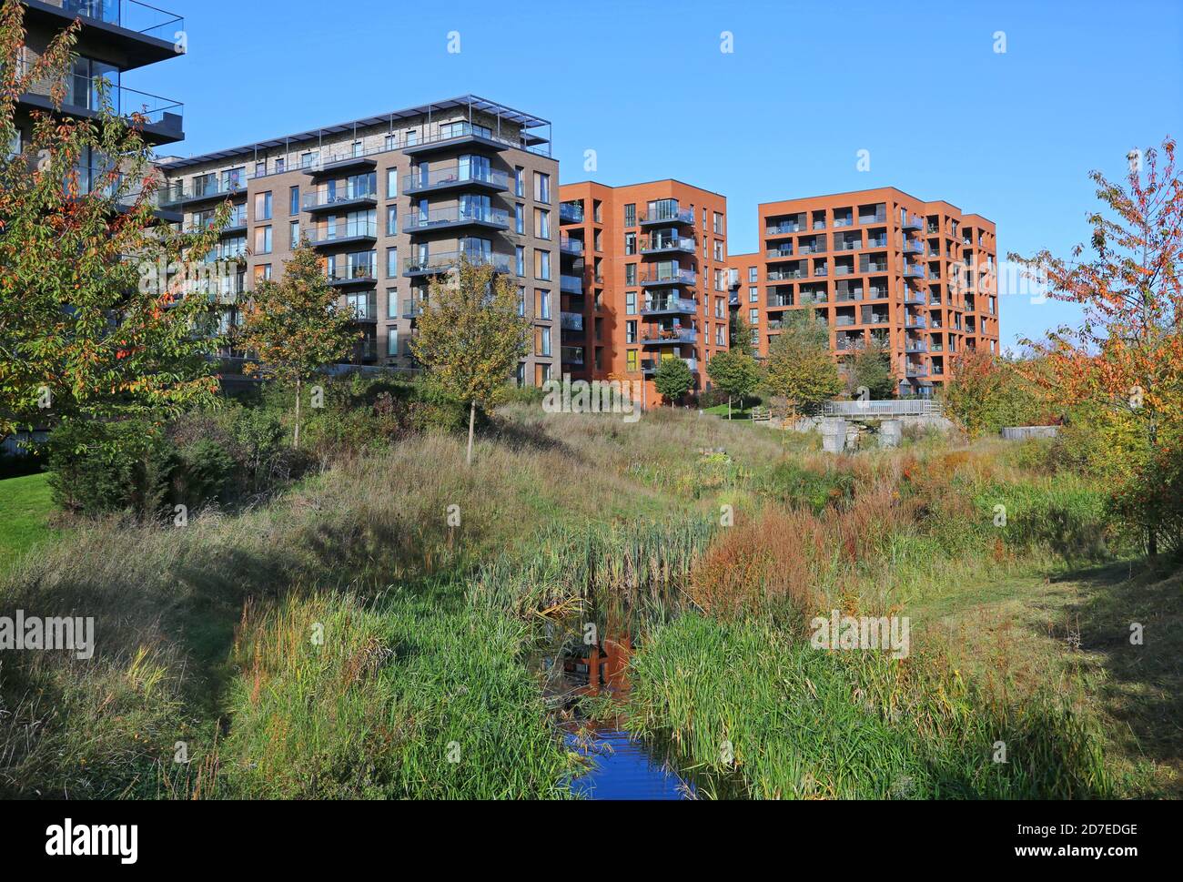 New apartment blocks overlook Cator Park at Kidbrooke Village, a huge