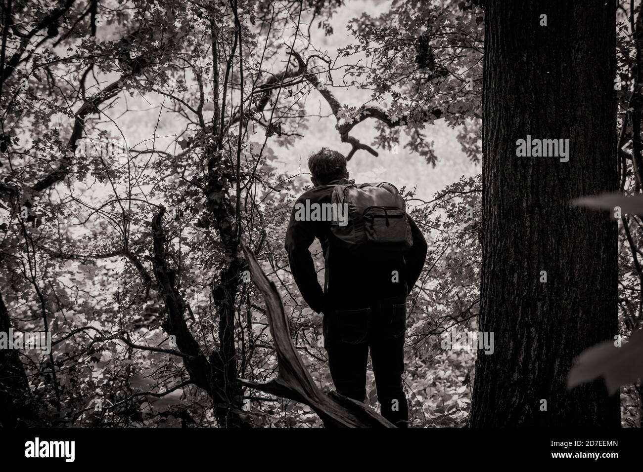 Black and white silhouette of a hiker with backpack on a walk through ...