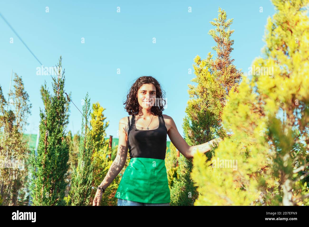 Woman gardener checking out the cypress trees in the plant nursery Stock Photo