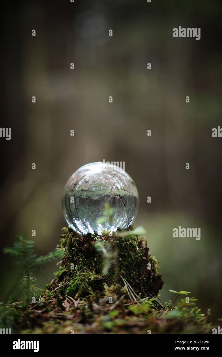 Crystal ball. Magical accessory in the woods on the stump. Ritual ball of witches and sorcerers on an old rotten stump covered with moss. Stock Photo