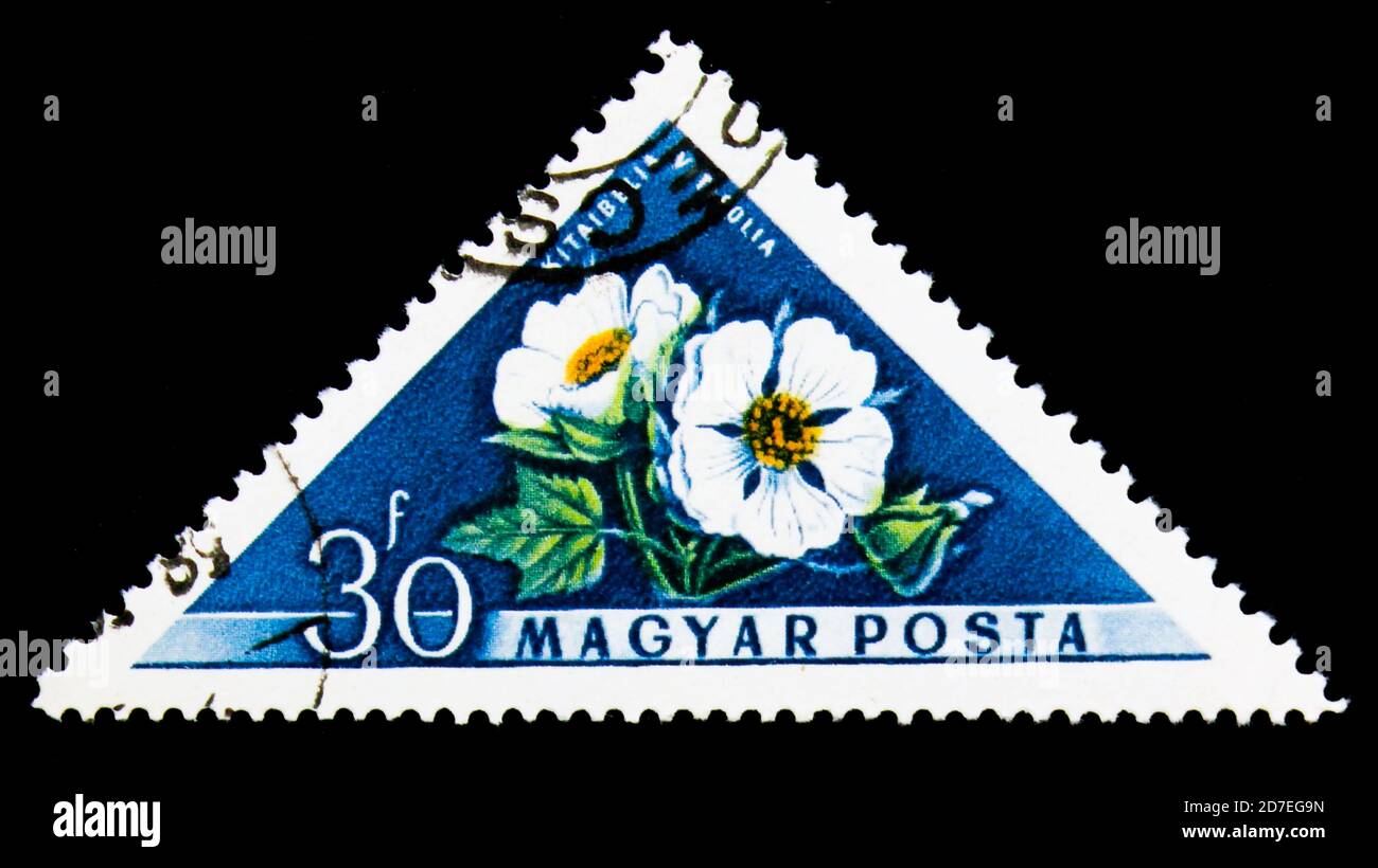 MOSCOW, RUSSIA - NOVEMBER 25, 2017: A stamp printed in Hungary shows Russian Hibiscus (Kitaibelia vitifolia), Flowers (1958) serie, circa 1958 Stock Photo