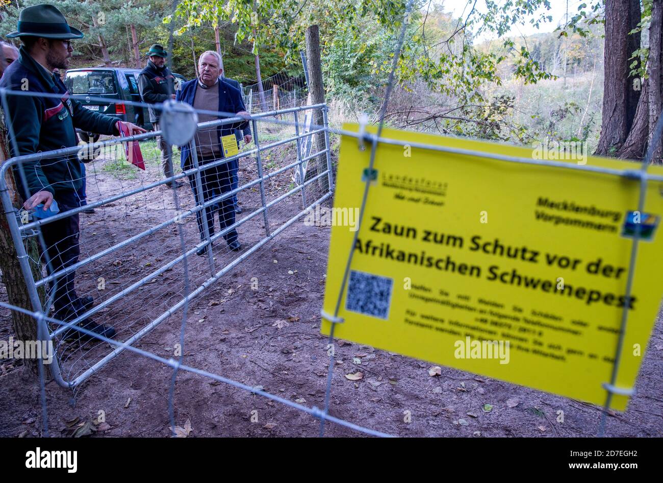 22 October 2020, Mecklenburg-Western Pomerania, Korswandt: Till Backhaus (SPD), the Minister of Agriculture of Mecklenburg-Western Pomerania, is standing at the border between Poland and Germany at the new game fence to protect against swine fever. A metal fence is to prevent the overflow of wild boars in case African swine fever (ASP) spreads along the coast. The wildlife fence for protection against swine fever on the border with Poland is halfway finished in Mecklenburg-Western Pomerania. To prevent the introduction of the animal disease, which is widespread in Poland, the state is erecting Stock Photo