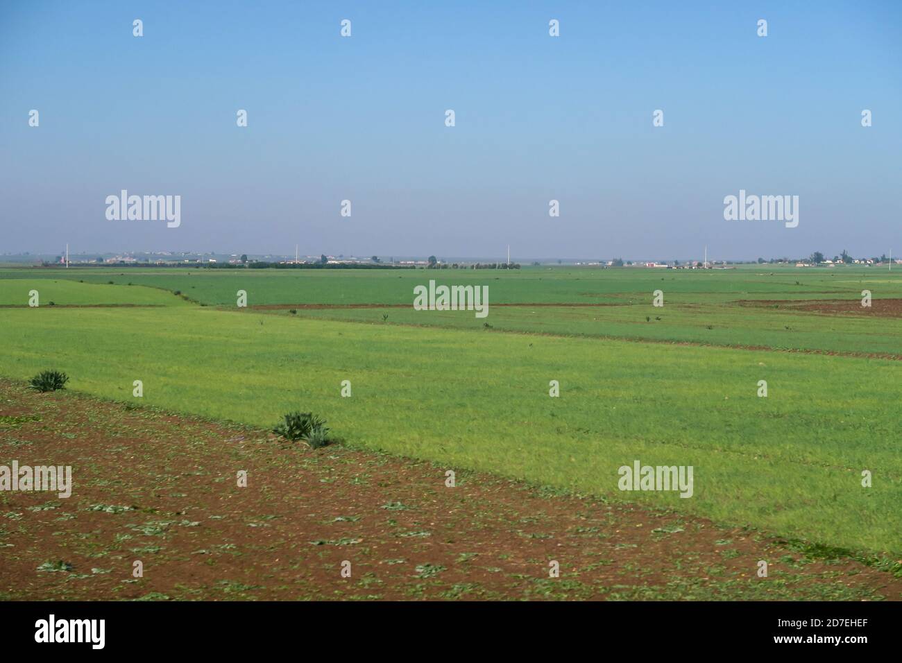rural landscape with green field and blue sky, photo as background ...