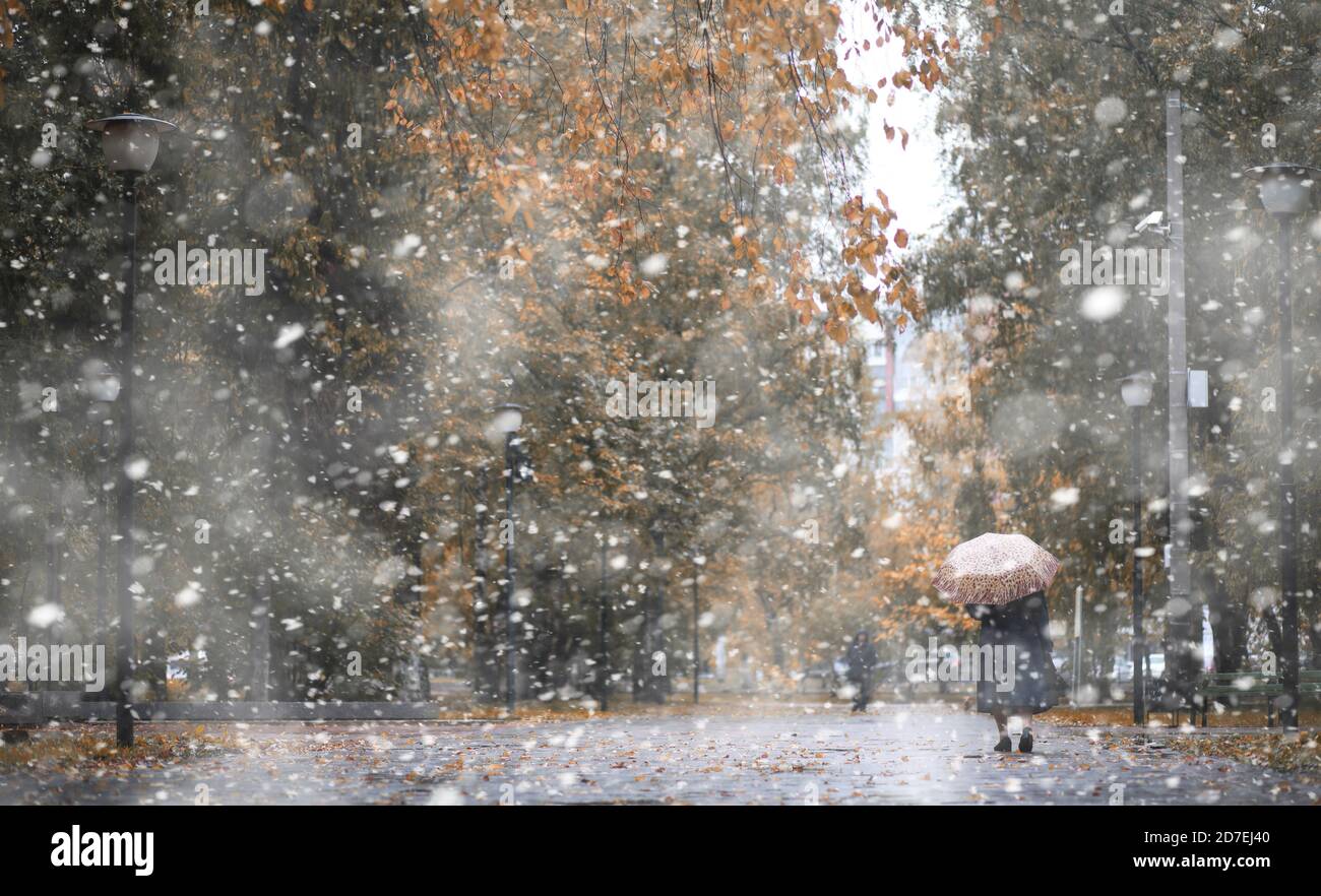 Autumn park in the days of the first snow Stock Photo - Alamy