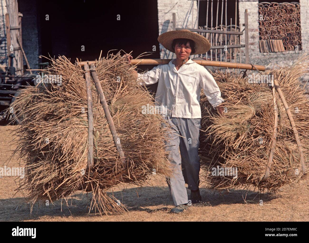 Carrying bundles of hay on bamboo pole, Hung-Chiao commune, near Shanghai, China, 1980 Stock Photo